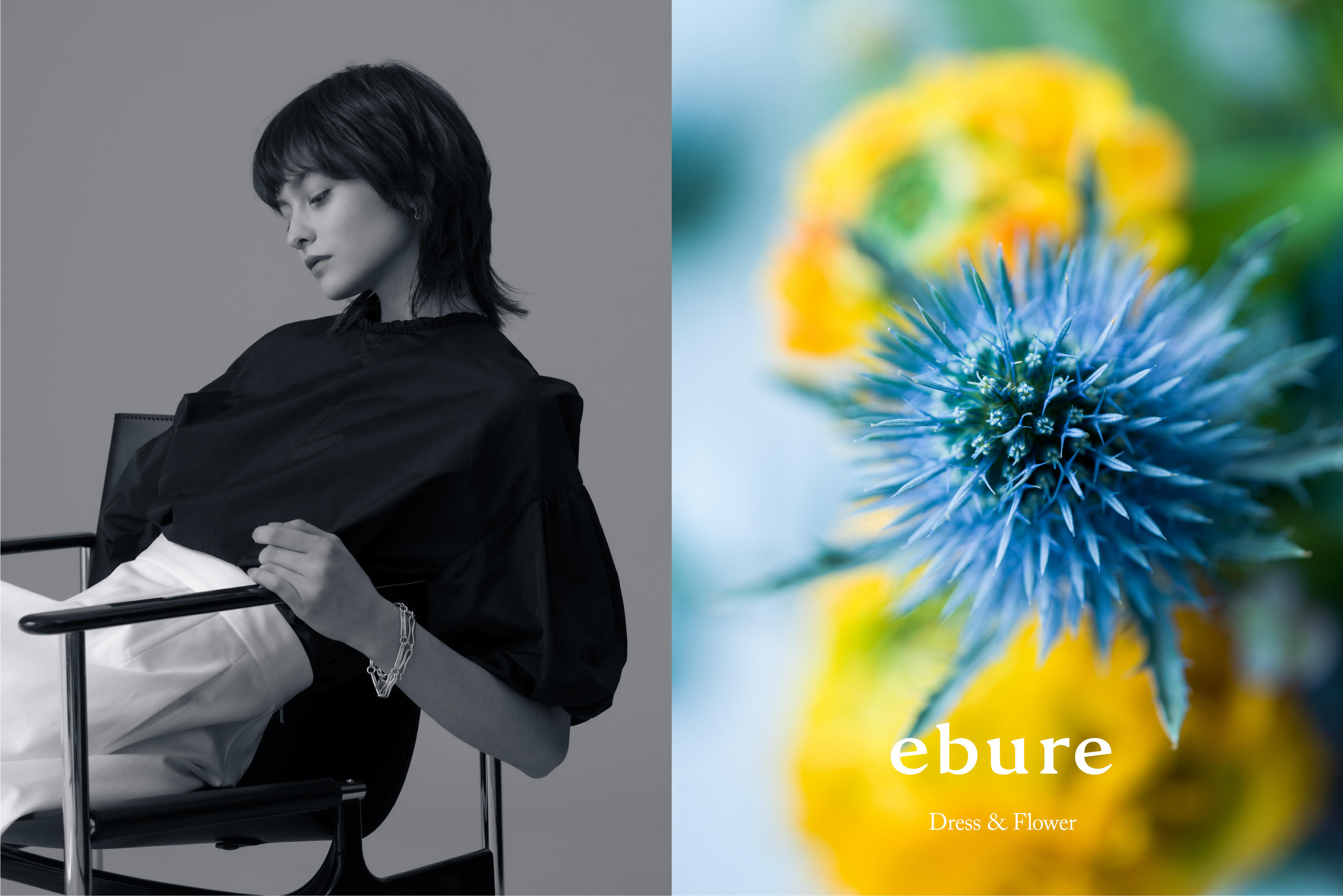 News | ebure(エブール)